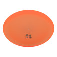 Reppy frisbee