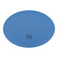 Reppy frisbee