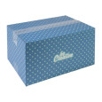 CreaBox Cargo M přepravní krabice