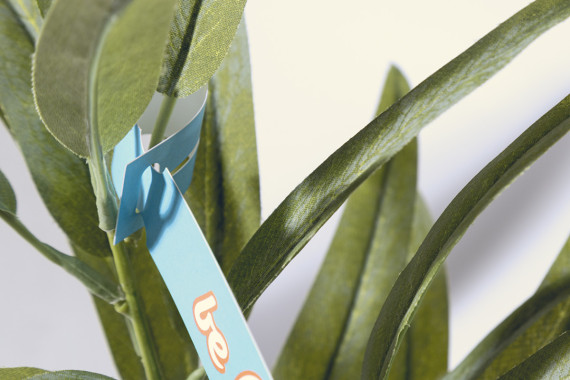 PlantTag štítek k rostlinám na zakázku
