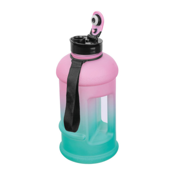 Láhev na pití Gainesville 1 300 ml