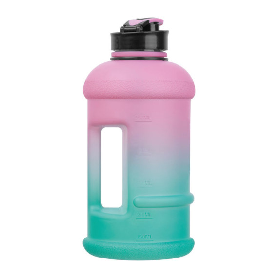 Láhev na pití Gainesville 1 300 ml