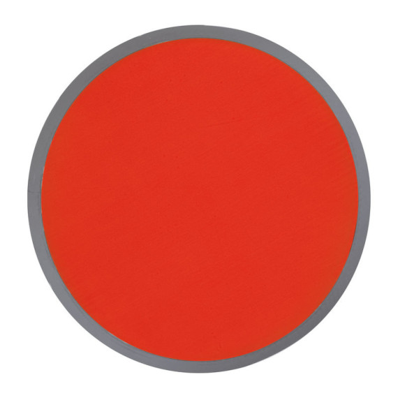 Foldable frisbee with a polyester case