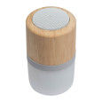Bluetooth reproduktor Haarlem