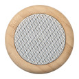 Bluetooth reproduktor Haarlem