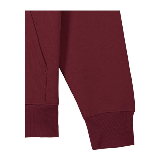 Cruiser 2.0 unisex mikina s kapucí