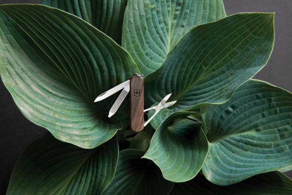 Kapesní nůž Victorinox Classic SD Wood, 5 funkcí