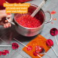 LOLLIPOP FACTORY. Továrna na lízátka – ideální pro děti