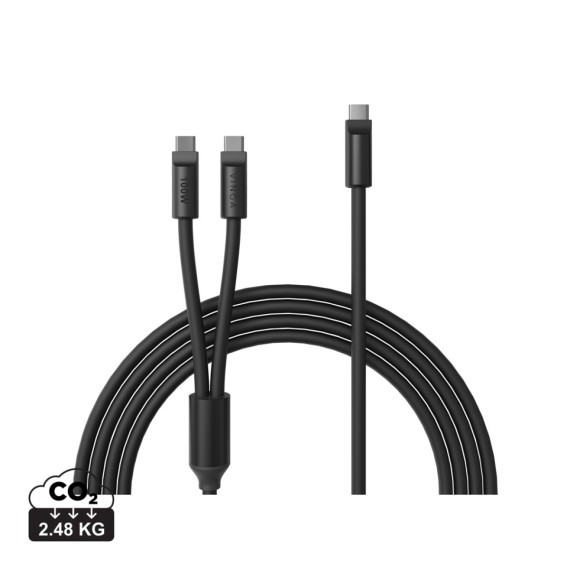 Multifunkční nabíjecí kabel VINGA Baltimore (C+2C)