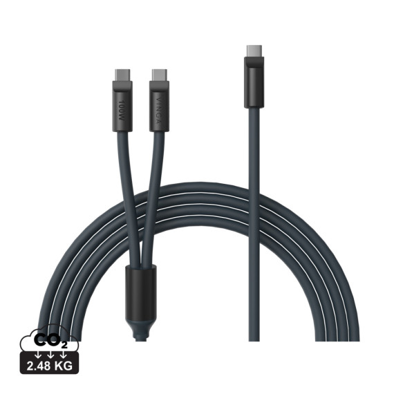 Multifunkční nabíjecí kabel VINGA Baltimore (C+2C)