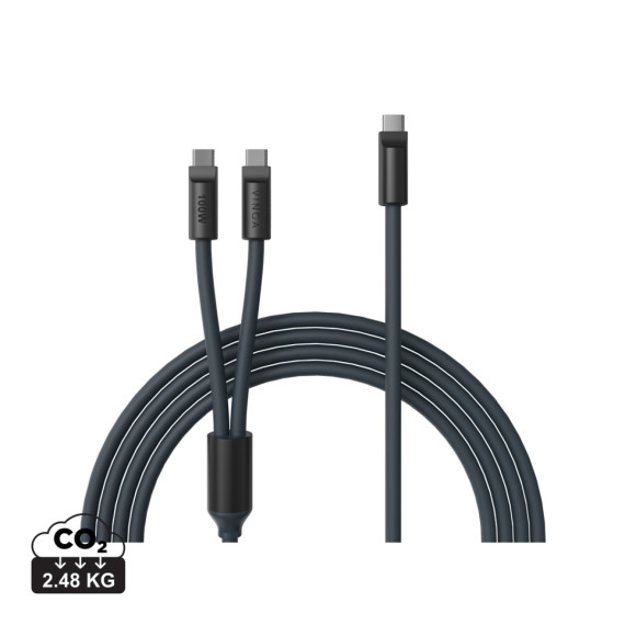 Multifunkční nabíjecí kabel VINGA Baltimore (C+2C)