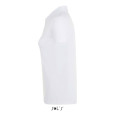 PHOENIX WOMEN, PHOENIX WOMEN ELASTANE POLO