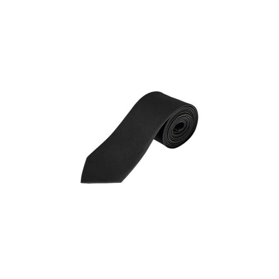 GARNER, GARNER SATIN TIE