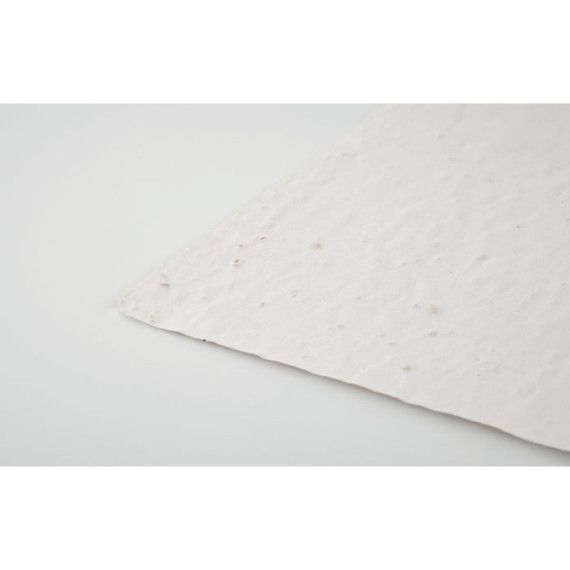 ASIDI, List A4 se semínky květin