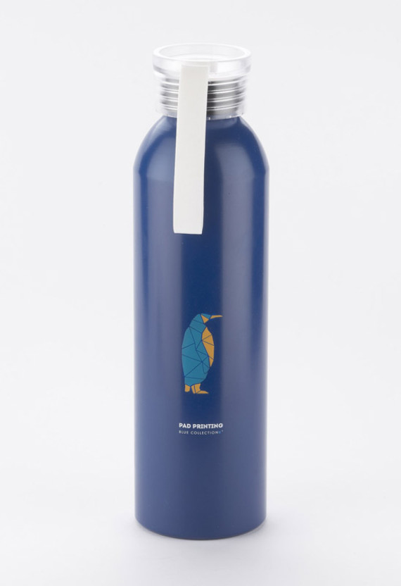 Hliníková láhev ALLUMI 650 ml