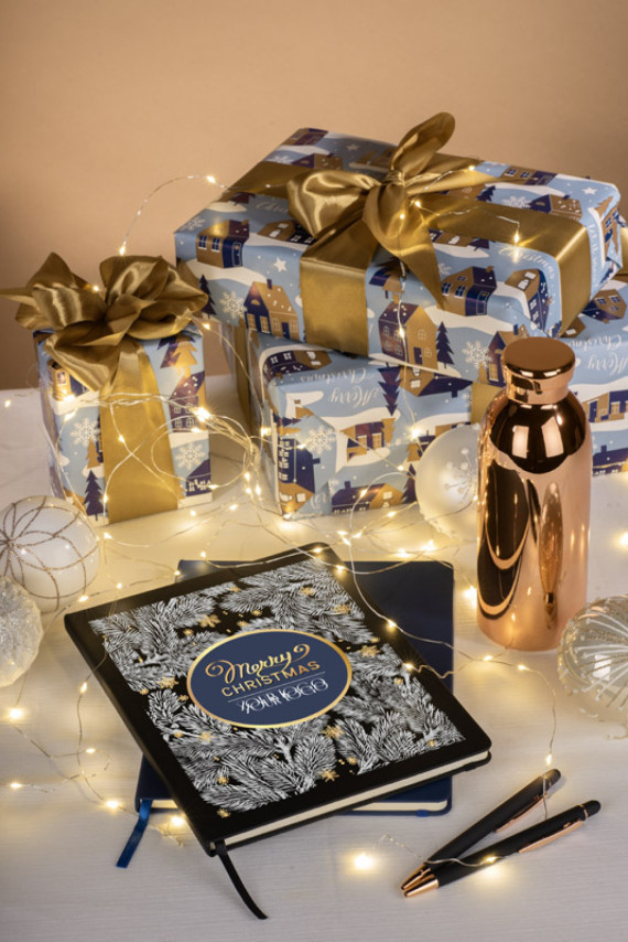 Kuličkové pero DIORI