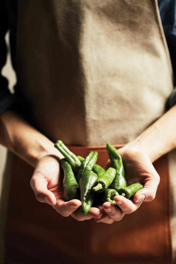 Zástěra VINGA Asado