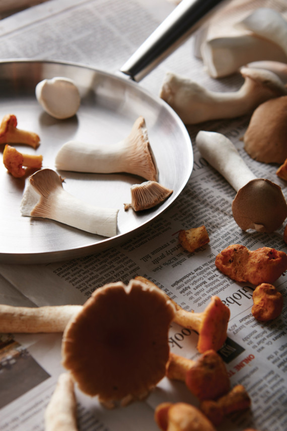 Pánev pro venkovní vaření VINGA Vici