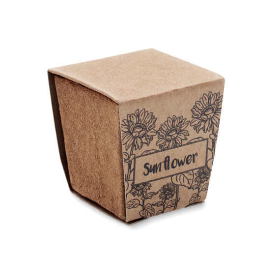 SUNFLOWER KIT, Sada na pěstování slunečnice