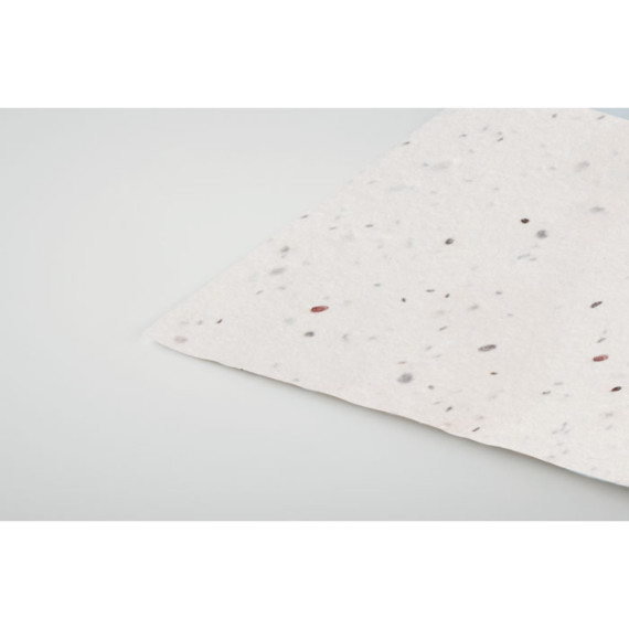 ASIDA, Vizitka semen divokých květin.