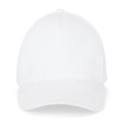 ASHTON. Čepice ze 100% bavlny (260 g/m²) s 5 panely