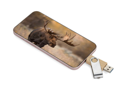 USB Flash disk 3.0 OTG TWISTER-PRO 32GB