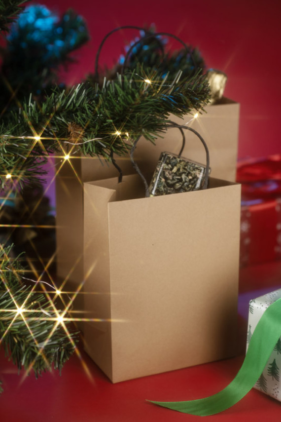 Papírový sáček PAKLO medium