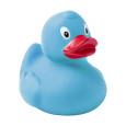 Squack kačenka